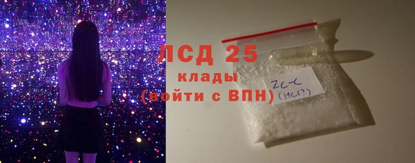прущие грибы Каменск-Шахтинский