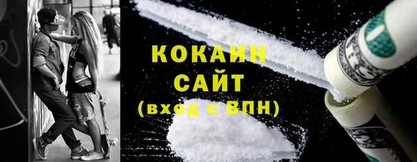 прущие грибы Каменск-Шахтинский