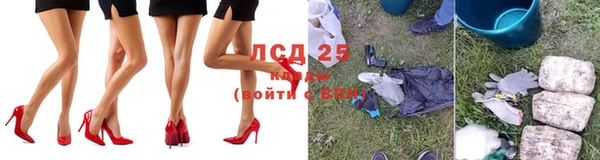 прущие грибы Каменск-Шахтинский