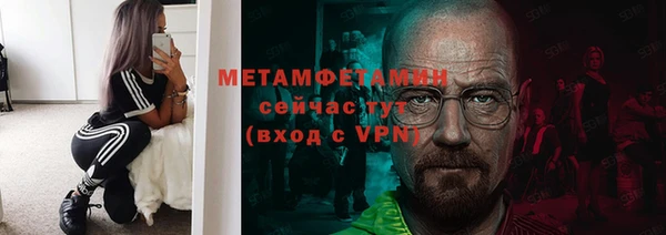 прущие грибы Каменск-Шахтинский