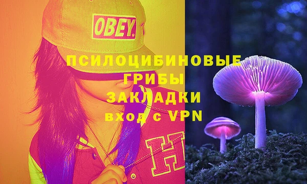 прущие грибы Каменск-Шахтинский