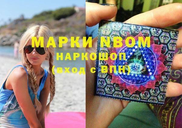 прущие грибы Каменск-Шахтинский