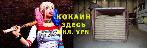 прущие грибы Каменск-Шахтинский