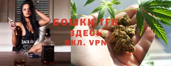 прущие грибы Каменск-Шахтинский