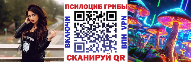 Псилоцибиновые грибы прущие грибы  Купить закладки  Давлеканово 